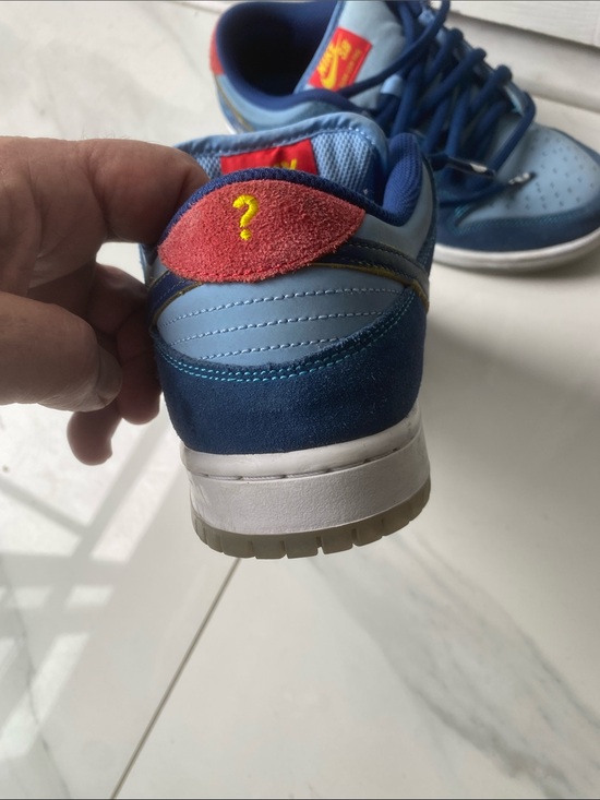 Nike SB Blue Multi Skate Shoes